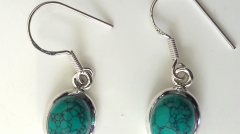 Oval turquoise drops 1